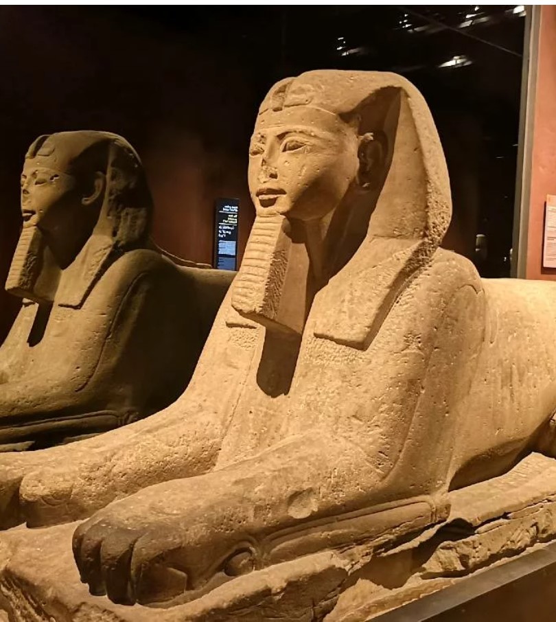 Museo Egizio