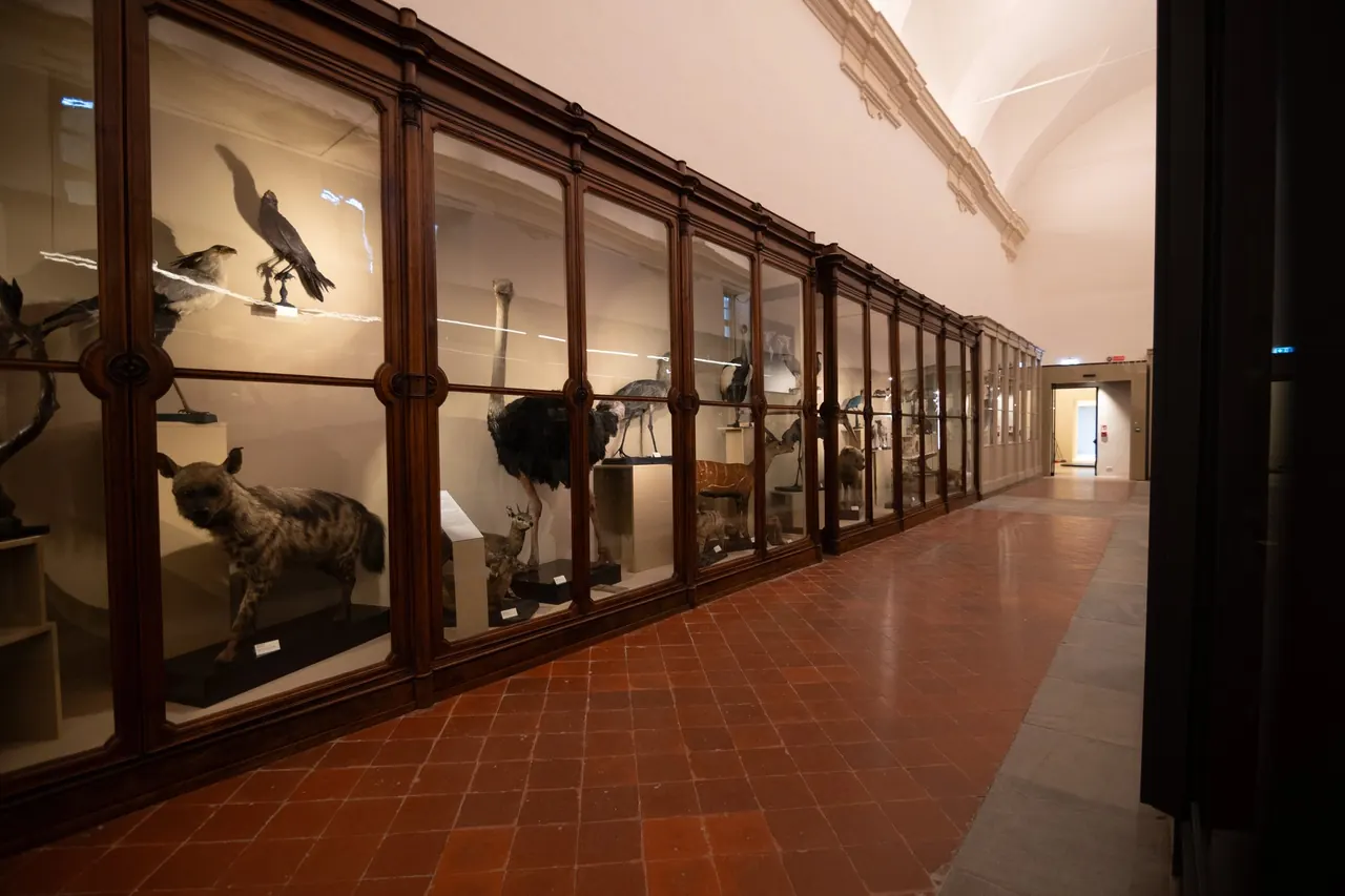 Museo Regionale di Scienze Naturali